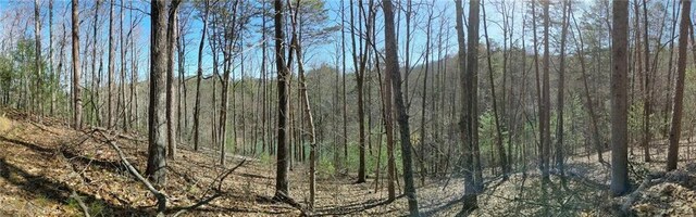 0 My Mountain Rd, Morganton, GA 30560
