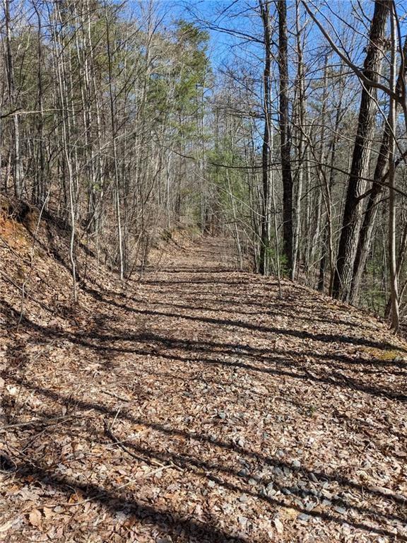 0 My Mountain Rd, Morganton, GA 30560