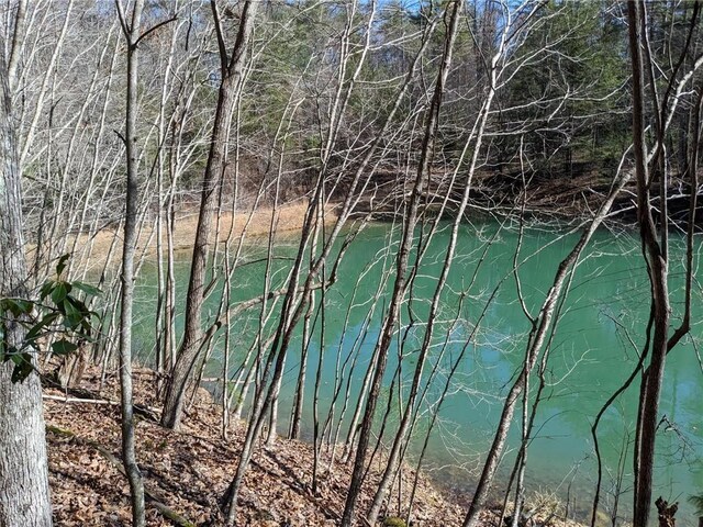 0 My Mountain Rd, Morganton, GA 30560