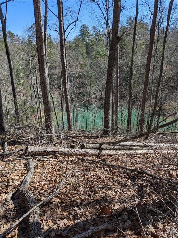 0 My Mountain Rd, Morganton, GA 30560