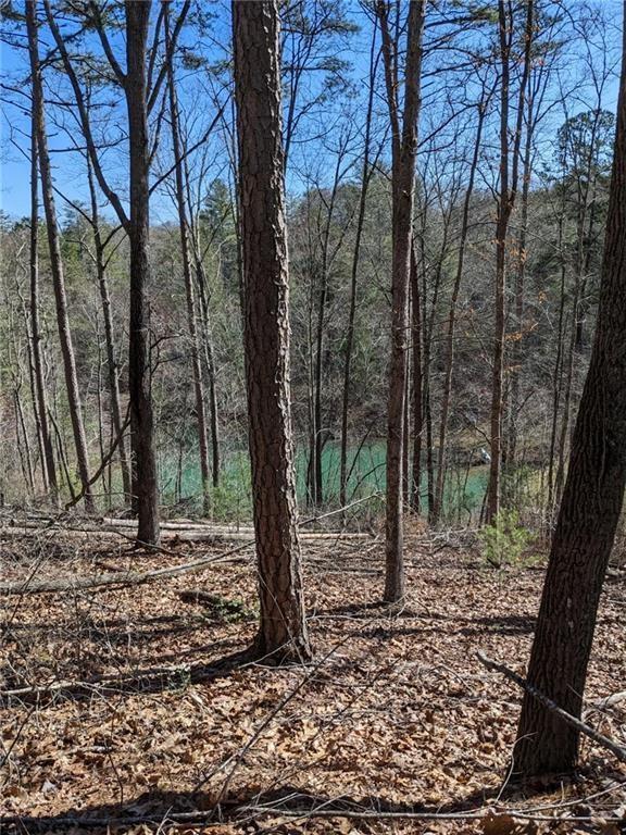 0 My Mountain Rd, Morganton, GA 30560