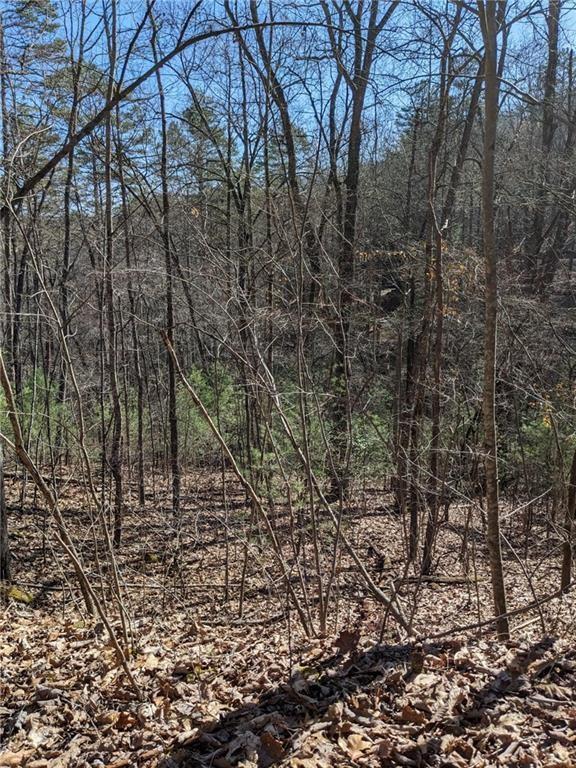 0 My Mountain Rd, Morganton, GA 30560