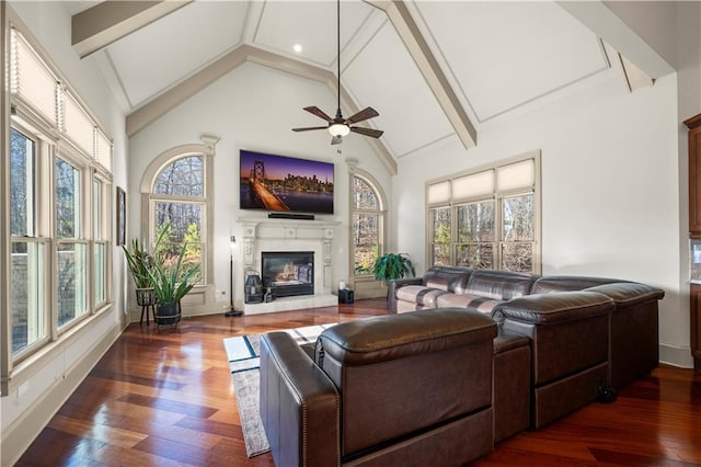 living area featuring dark wood-style floors, a glass covered fireplace, and a wealth of natural light