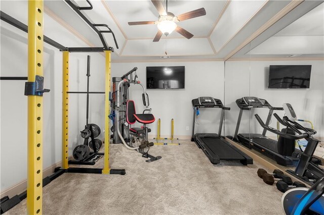 exercise area featuring carpet flooring, a raised ceiling, a ceiling fan, and crown molding