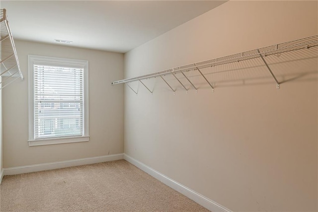 spacious closet featuring carpet flooring