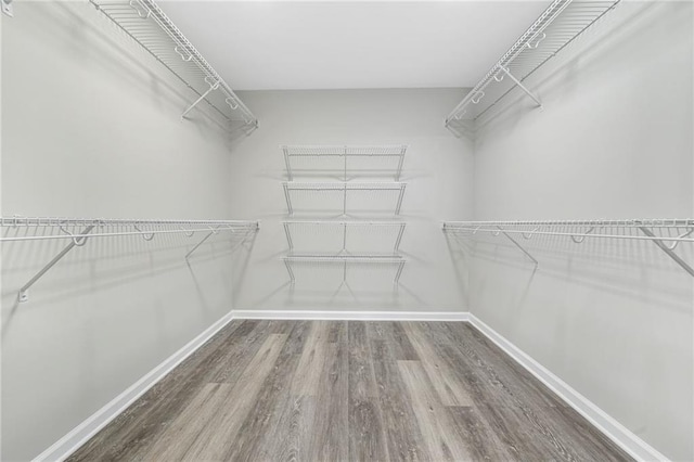 spacious closet featuring wood finished floors