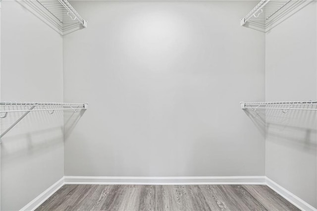 walk in closet with wood finished floors