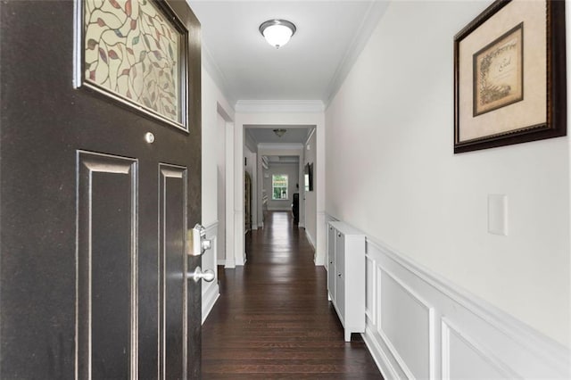 17 Twelve Oaks Dr SE, Cartersville, GA 30120 - hall featuring crown molding, dark wood-style flooring, a wainscoted wall, and a decorative wall