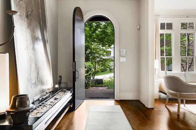 entryway featuring dark hardwood / wood-style flooring and a healthy amount of sunlight