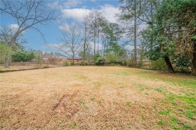 2104 Barbara Ln, Decatur, GA 30032 - view of yard