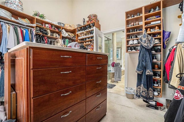 walk in closet with carpet