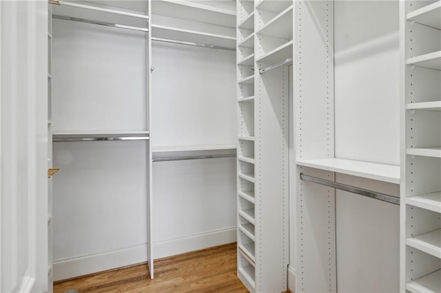 spacious closet with hardwood / wood-style flooring