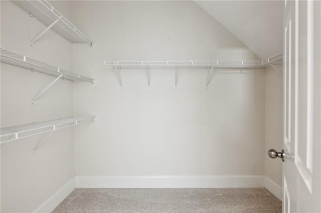 walk in closet featuring carpet floors