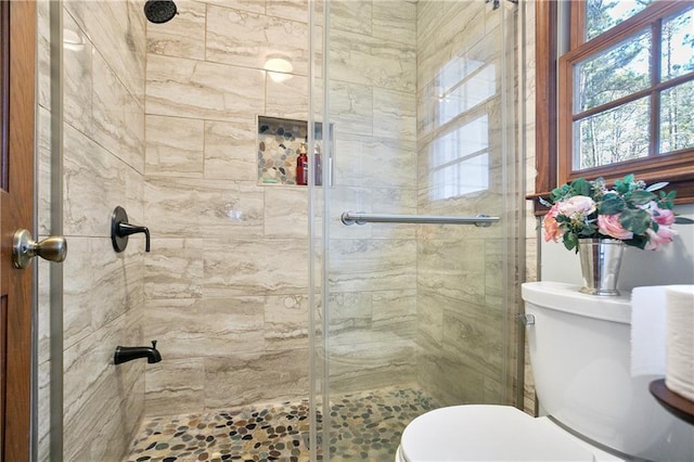 bathroom featuring a stall shower and toilet