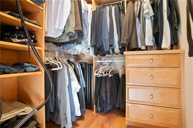 spacious closet featuring light wood-type flooring