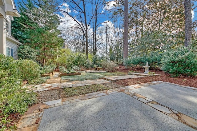 view of yard featuring a patio