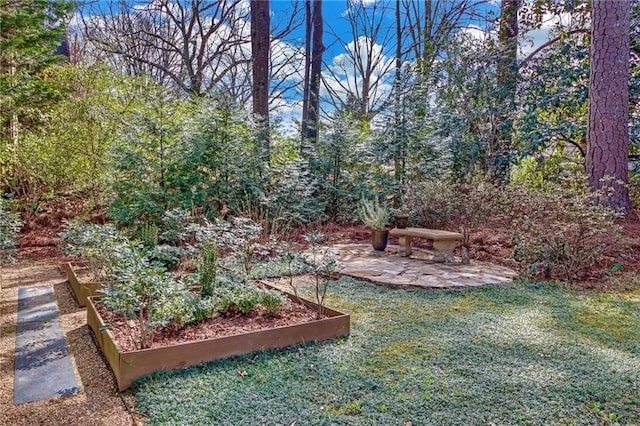 view of yard with a garden