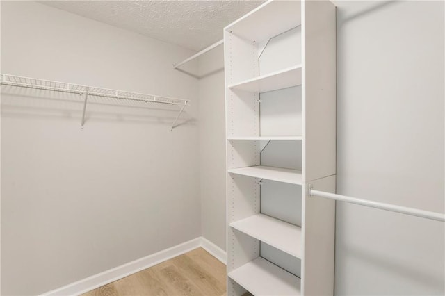 walk in closet featuring light wood-style floors