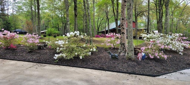 view of property's community with a wooded view