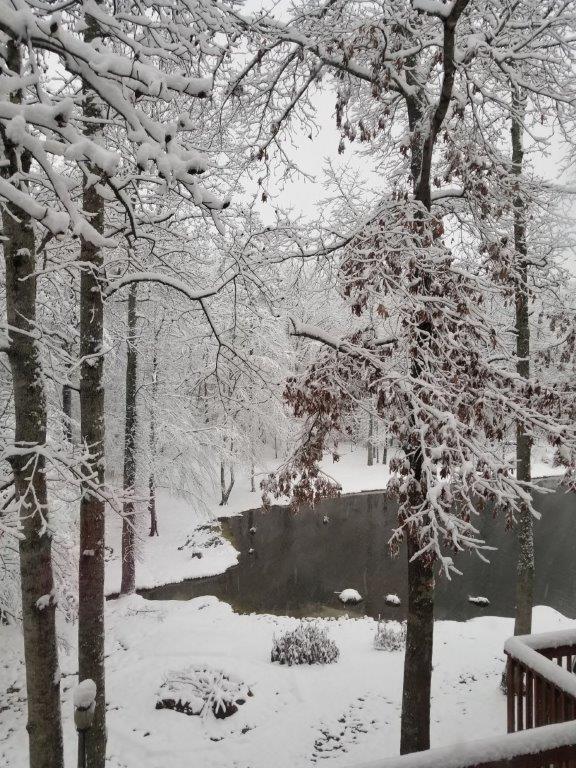 view of yard covered in snow