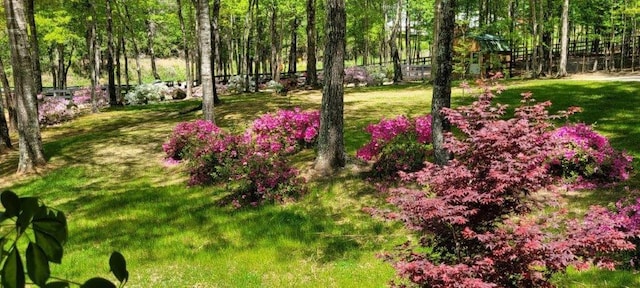 view of yard with fence