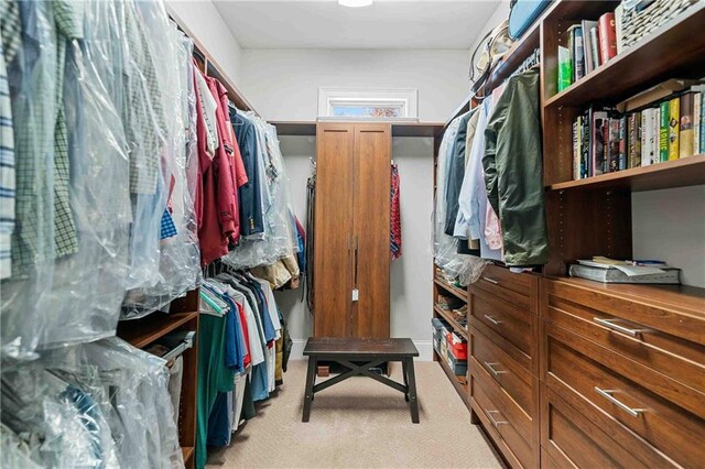 829 Christopher Rd, Sharpsburg, GA 30277 - spacious closet featuring light carpet