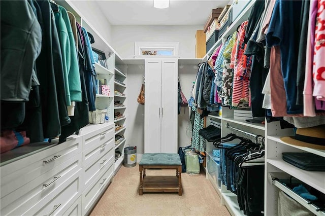 829 Christopher Rd, Sharpsburg, GA 30277 - walk in closet with carpet