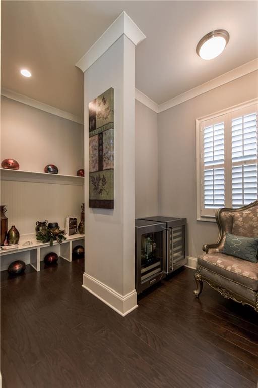living area featuring crown molding, baseboards, and dark wood-style floors
