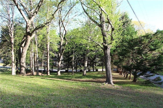 view of community with a lawn