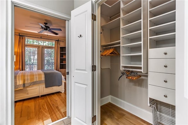 view of closet