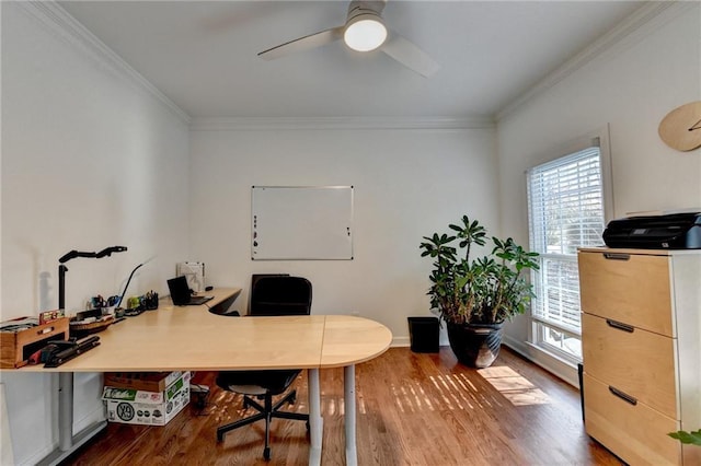 office with ceiling fan, dark hardwood / wood-style floors, and crown molding