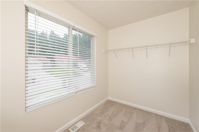 113 Garden Walk, Stockbridge, GA 30281 - spacious closet with light carpet