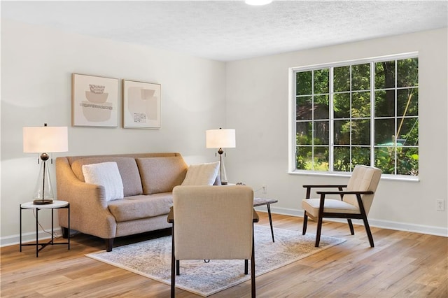 1275 Muirforest Way, Stone Mountain, GA 30088 - living area featuring light wood finished floors, baseboards, and a textured ceiling