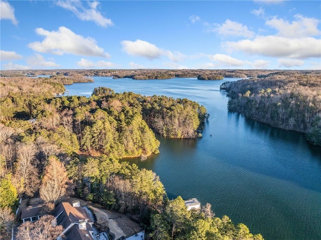 drone / aerial view with a water view and a view of trees