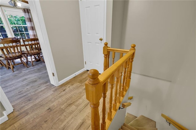 stairway featuring wood-type flooring