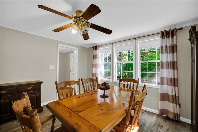 dining room with dark hardwood / wood-style flooring, ceiling fan, and crown molding