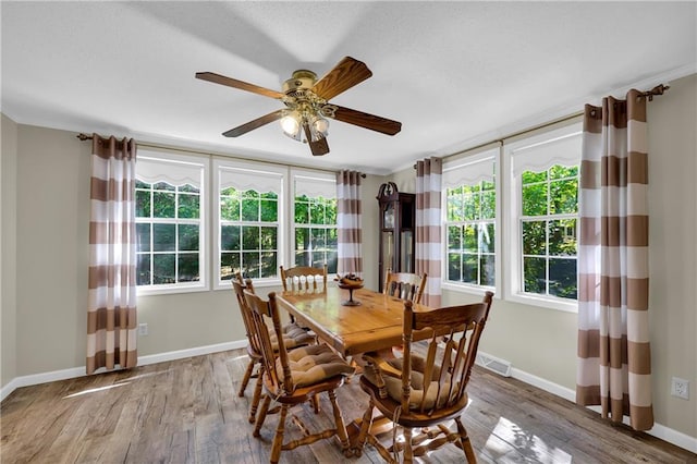 dining space with hardwood / wood-style floors, ceiling fan, plenty of natural light, and crown molding