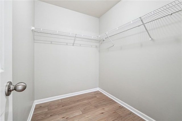 spacious closet with wood finished floors