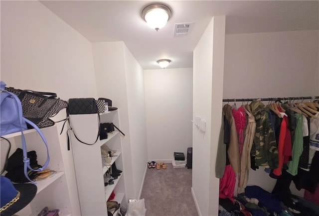 spacious closet featuring carpet floors