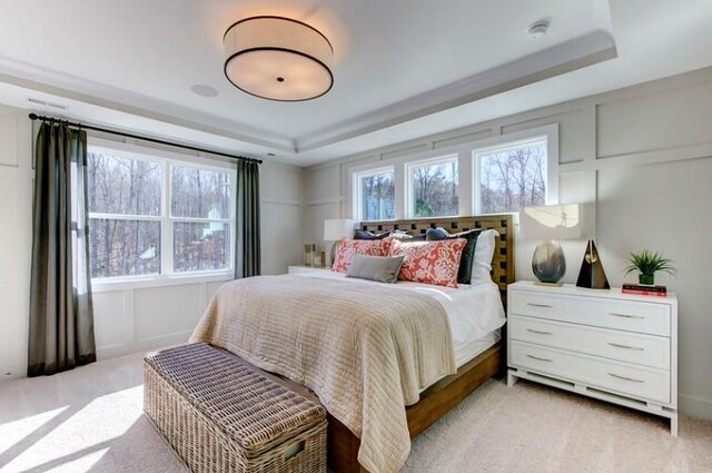 carpeted bedroom featuring a raised ceiling