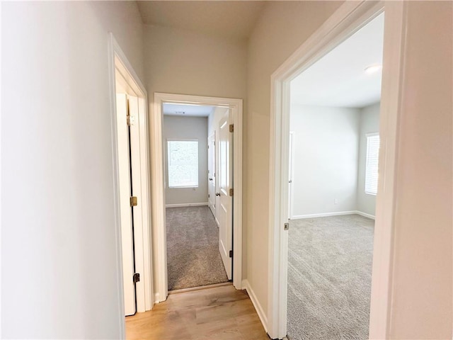 hall with light wood-style flooring, light colored carpet, and baseboards