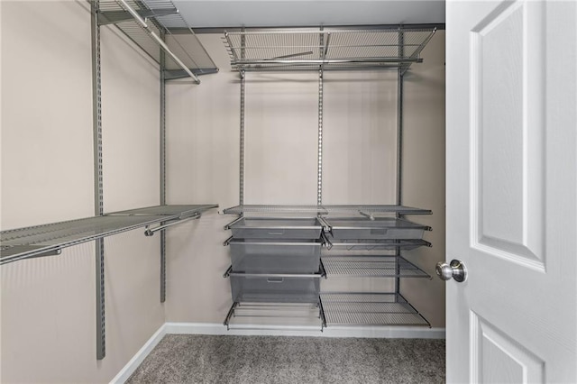 4648 Glenshire Pl, Atlanta, GA 30338 - walk in closet featuring carpet