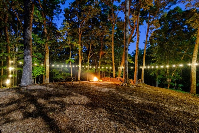 view of yard at night