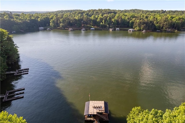 property view of water with a dock