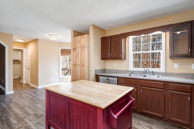 kitchen featuring dishwasher, sink, and dark hardwood / wood-style flooring