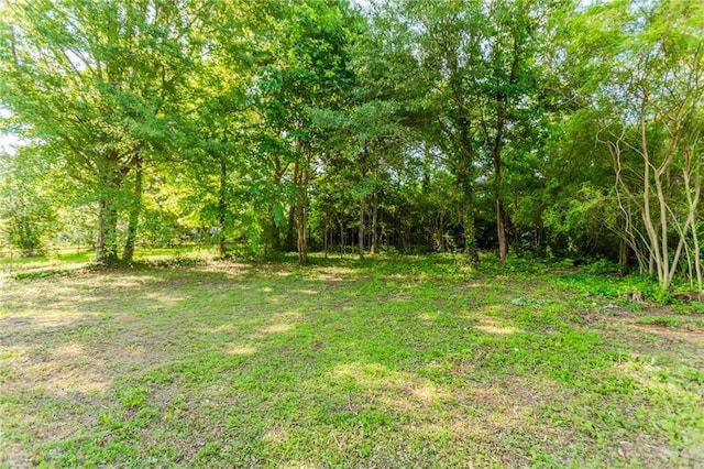 1167 Sanders Dr, Morrow, GA 30260 - view of yard featuring a forest view