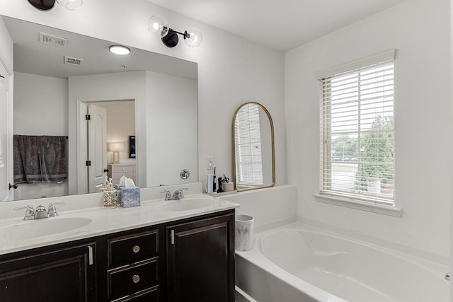 bathroom with a bath, plenty of natural light, and double vanity