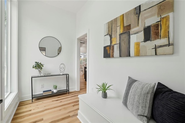 interior space with wood finished floors