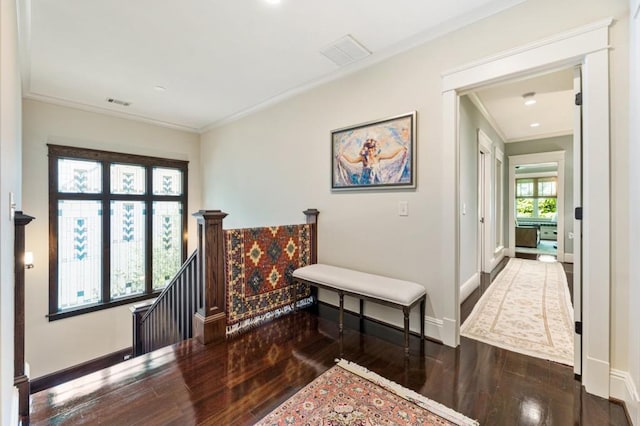 sitting room with ornamental molding, dark wood-type flooring, visible vents, and baseboards