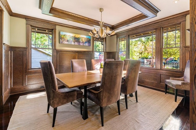 dining space featuring a raised ceiling, wainscoting, crown molding, a healthy amount of sunlight, and a chandelier